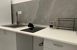 Garsoniera, 21 mp , zona Astra