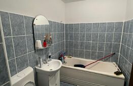 Apartament cu 1 camera, balcon, gradina 50 mp, zona Centrala