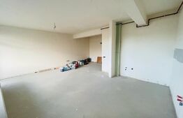 Apartament 1 camera, 48mp, semifinisat, zona Terra 