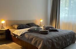 Garsoniera, 40 mp, zona Garii