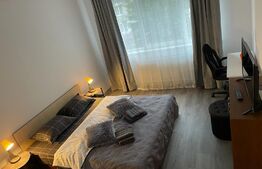 Garsoniera, 40 mp, zona Garii