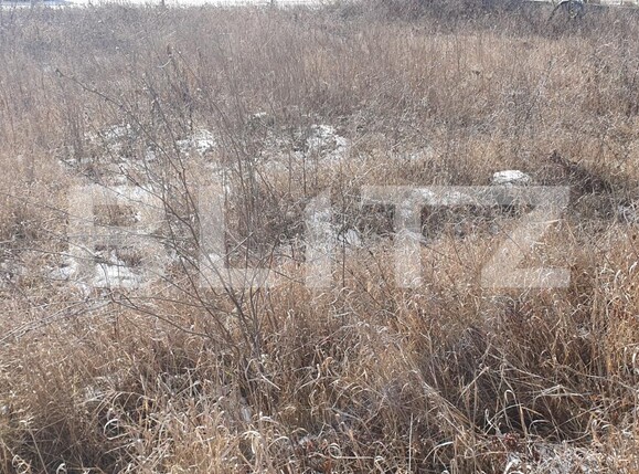 Teren de vânzare Jucu de Mijloc - 134624TV | BLITZ Cluj-Napoca | Poza1