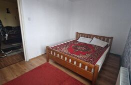 Apartament 2 camere , 50 mp zona Timis -Triaj 