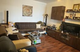 Apartament 2 camere, decomandat, Bd Garii