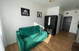 Garsoniera, 25 mp, centrală termică, zona Traian Vuia