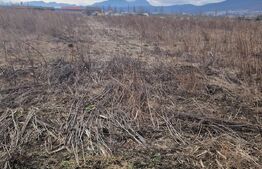 Teren de vanzare 1500 mp - intravilan Codlea - 30 euro mp