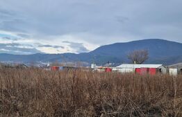 Teren de vanzare 1500 mp - intravilan Codlea - 30 euro mp