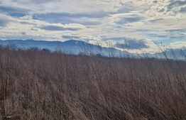 Teren de vanzare 1500 mp - intravilan Codlea - 30 euro mp