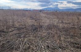 Teren de vanzare 1500 mp - intravilan Codlea - 30 euro mp