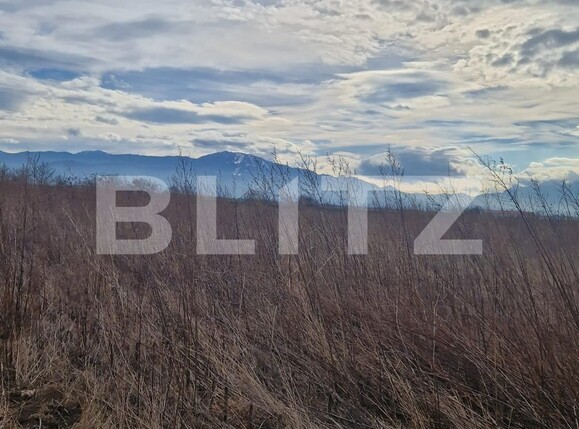 Teren de vânzare Codlea - 134720TV | BLITZ Brașov | Poza4