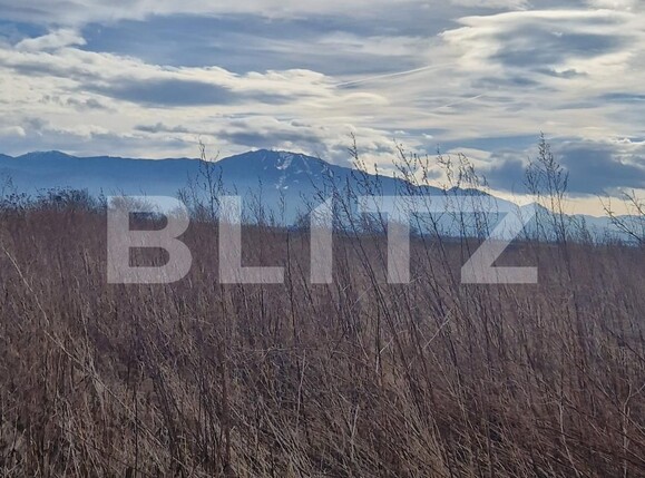 Teren de vânzare Codlea - 134720TV | BLITZ Brașov | Poza6
