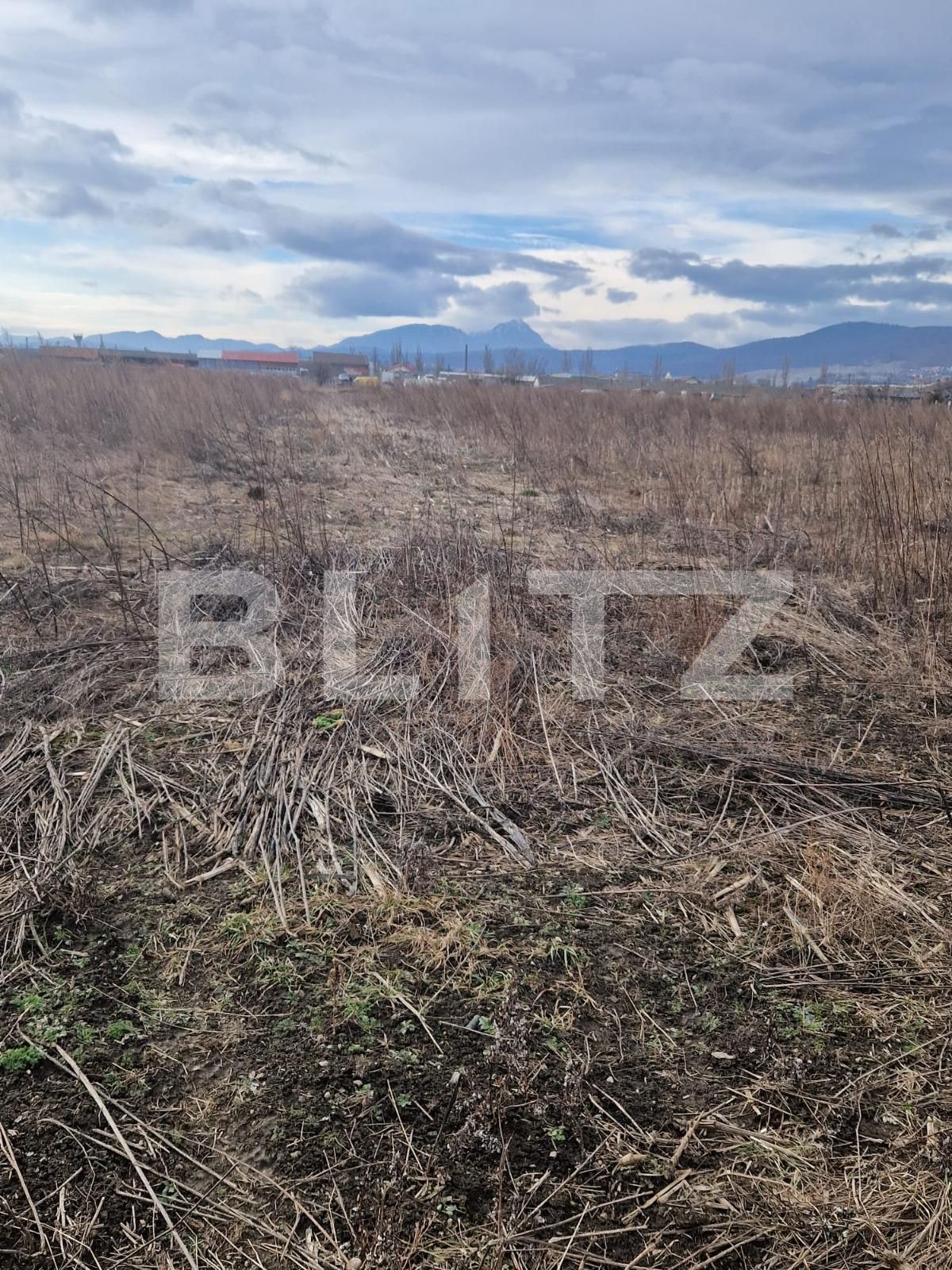 Teren de vânzare Codlea - 134720TV | BLITZ Brașov | Poza7