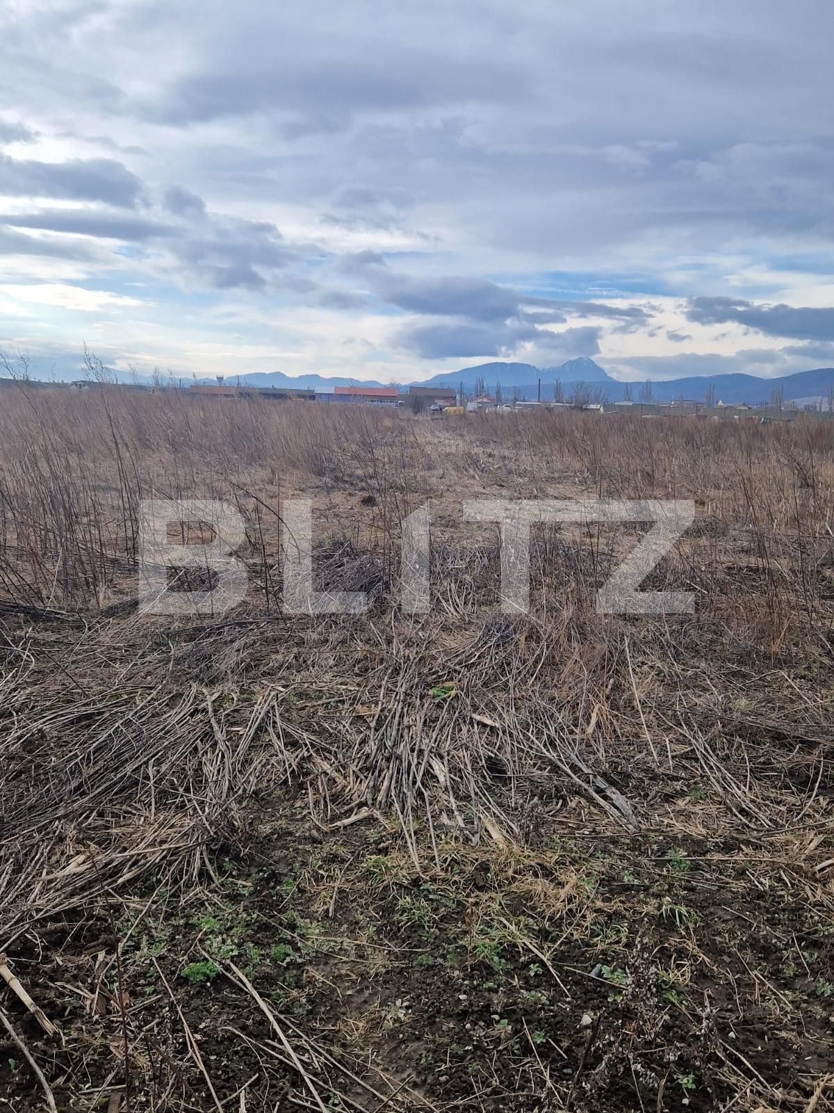 Teren de vânzare Codlea - 134720TV | BLITZ Brașov | Poza3