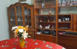 Cabana 3 camere, 100mp, Somesu Rece