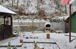 Cabana 3 camere, 100mp, Somesu Rece