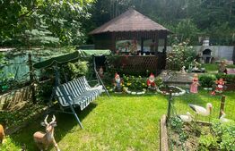 Cabana 3 camere, 100mp, Somesu Rece