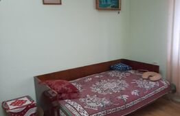 Cabana 3 camere, 100mp, Somesu Rece