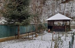 Cabana 3 camere, 100mp, Somesu Rece