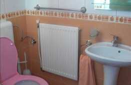 Inchiriere apartament 2 camere, 40 mp, zona Interservisan