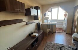 Garsoniera 32 mp, etaj intermediar, zona Constantin Brancusi 