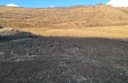 Teren intravilan, 3800 mp, satul Visea