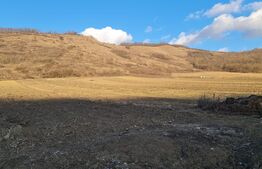 Teren intravilan, 3800 mp, satul Visea