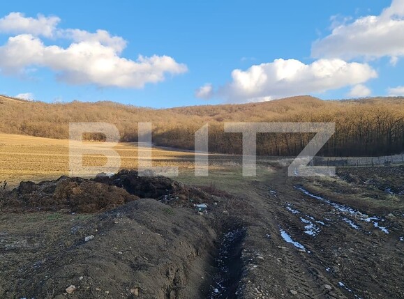 Teren de vânzare Jucu de Sus - 134805TV | BLITZ Cluj-Napoca | Poza4