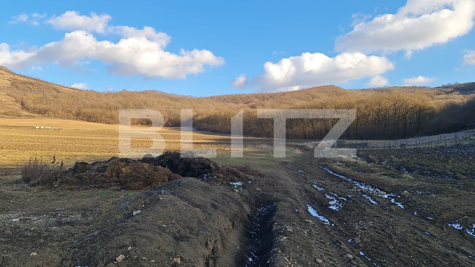 Teren de vânzare Jucu de Sus - 134805TV | BLITZ Cluj-Napoca | Poza4