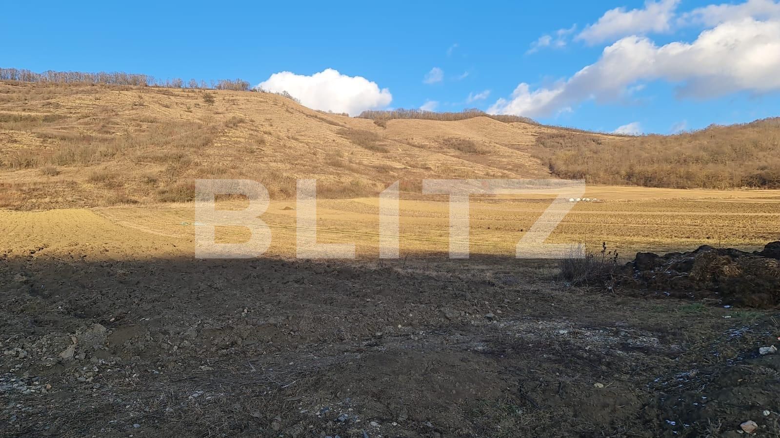 Teren de vânzare Jucu de Sus - 134805TV | BLITZ Cluj-Napoca | Poza3