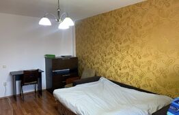 Apartament 1 camera, 39mp, zona Calea Turzii