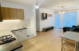 Apartament 2 camere, 45mp, prima inchiriere, zona Terra