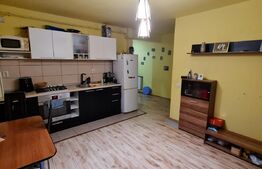  Apartament semidecomandat cu 2 camere, 39mp, preluare de chiriasi, zona Stejarului