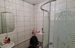 Apartament cu 2 camere, 37 mp, preluare de chiriasi, zona Stejarului