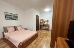 Apartament de 2 camere, 50 mp, etaj intermediar, zona Iulius Mall