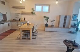 Apartament 3 camere 74 mp - cu 40 mp curte- senzational zona Centru 