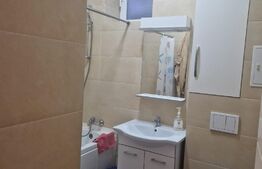 Apartament 3 camere 74 mp - cu 40 mp curte- senzational zona Centru 