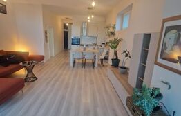 Apartament 3 camere 74 mp - cu 40 mp curte- senzational zona Centru 