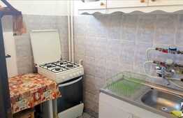 De inchiriat apartament cu 1 camera, 30 mp,  zona strazii Bucegi!