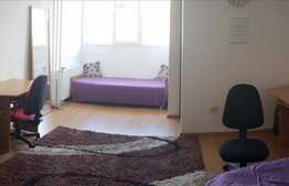 De inchiriat apartament cu 1 camera, 30 mp,  zona strazii Bucegi!