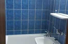 De inchiriat apartament cu 1 camera, 30 mp,  zona strazii Bucegi!