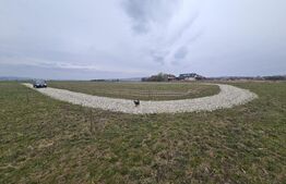 Oportunitate Blitz - Teren intravilan Colonia Bod - 429mp 