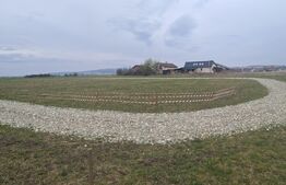 Oportunitate Blitz - Teren intravilan Colonia Bod - 429mp 