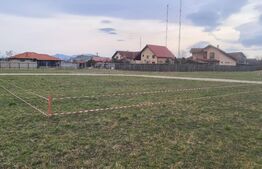 Oportunitate Blitz - Teren intravilan Colonia Bod - 429mp 