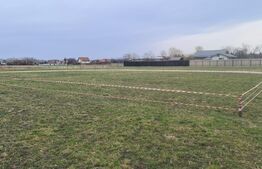 Oportunitate Blitz - Teren intravilan Colonia Bod - 429mp 