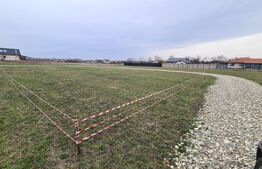 Oportunitate Blitz - Teren intravilan Colonia Bod - 429mp 