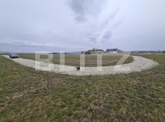 Teren de vânzare Bod - 134954TV | BLITZ Brașov | Poza5