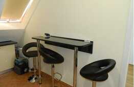 Mansarda cu 1 camera, 40,67 mp, imobil nou, parcare, zona Porii!