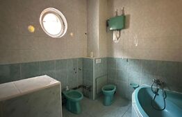 Spatiu comercial 585 mp, 3 parcari, 500 mp teren, zona Traian Vuia