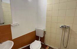 Spatiu comercial 585 mp, 3 parcari, 500 mp teren, zona Traian Vuia