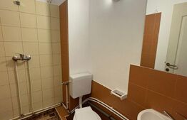 Spatiu comercial 585 mp, 3 parcari, 500 mp teren, zona Traian Vuia